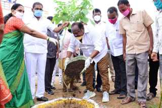 కరీంనగర్​లో అటవీ సంపదకు పూర్వ వైభవం: గంగుల