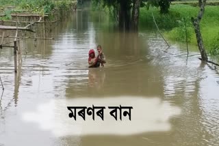 Flood situation of kaliabar assam etv bharat news
