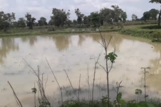 heavy rainfall in takhatpur