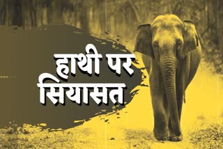 death of elephants in chhattisgarh