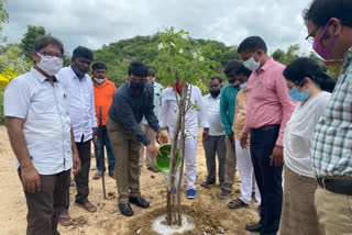 collector hanumantharao visited jinnaram mandal in sangareddy