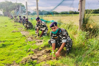 CRPF started plantation campaign in Mundka Tikri Kala village of delhi