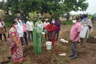 collector haritha visited development work done in the warangal rural