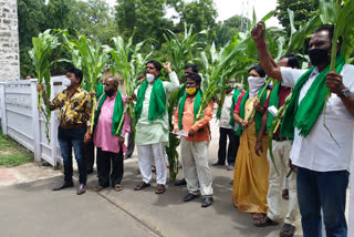 ಕರ್ನಾಟಕ ರೈತ ಸಂಘ ಮತ್ತು ಹಸಿರು ಸೇನೆ ಪ್ರತಿಭಟನೆ