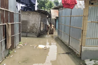 জালুকবাৰী সমষ্টিত স্বয়ং অস্থায়ী শিবিৰ স্থাপন বানাক্ৰান্তৰ