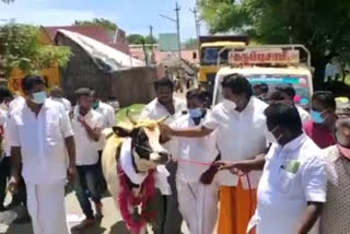 Deputy CM's son restores the love tale between cow and bull
