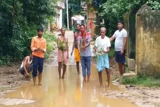 Villagers protes by planting paddy on road in Gopalpur village in deoghar