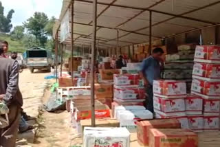 Apple grower in himachal pradesh.