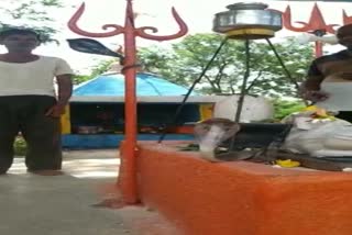 Snake in Shiv temple