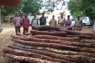 Smuggling of red sandalwood