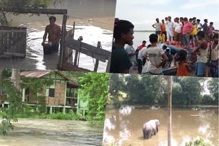 9 more people die in flood-related incidents in Assam, toll rises to 85