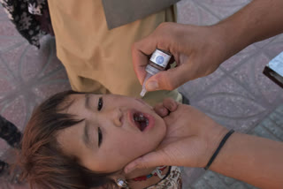 polio drops