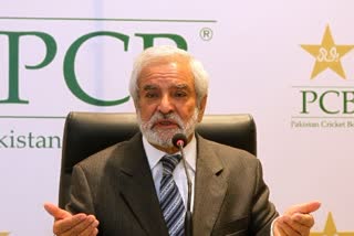 Ehsan Mani