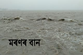 assam flood