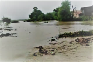 heavy rains in khammam district