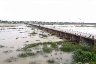 heavy rain fall in telangana-over flowing krishna river