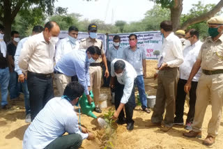 Churu news, tree plantation, MNREGA