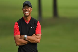 Tiger Woods (file image)