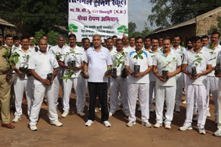 Fruit and shade plants planted in ITBP campus