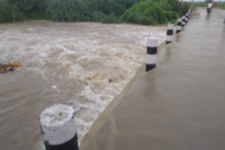 nalla vagu at krishna district over flowing