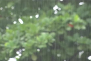 Heavy rains in East Godavari District