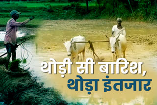 Paddy cultivation affected due to not enough rain in gumla, Paddy cultivation in gumla, rain news of  gumla, पर्याप्त बारिश नहीं होने से धान की खेती हो रही प्रभावित, गुमला में धान की खेती, गुमला में बारिश की खबरें