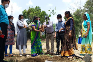 Plantation program organized, पौधारोपण कार्यक्रम आयोजित