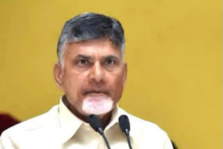 N Chandrababu Naidu slams CM Jagan Mohan Reddy