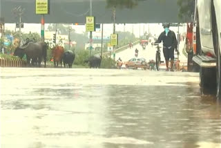 Rain in part of city..Raichur Turns like a Malnad