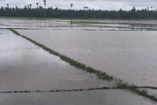 heavy-rain-in-east-godavari