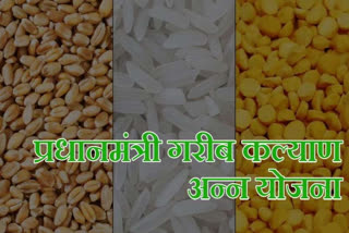 Free wheat and rice under Pradhan Mantri Garib Kalyan Yojana in chandrapur