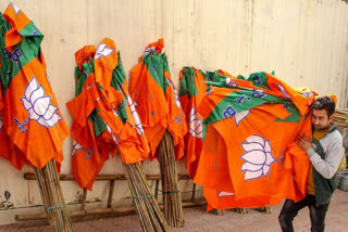 J-K BJP workers