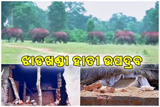 ଫେରିଲେ ଝାଡଖଣ୍ଡି ହାତୀପଲ, ଘର ଭାଙ୍ଗି ଖାଇଗଲେ ଧାନ ଚାଉଳ