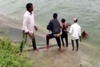 Young men rescue a young woman who jumped into a canal in nalgonda district