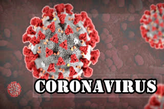 coronavirus