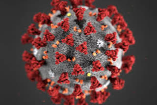 coronavirus