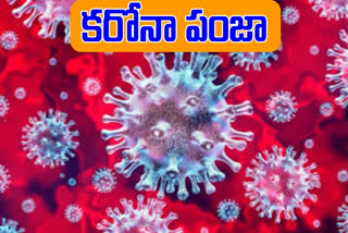 41 new corona cases in karimnagar district