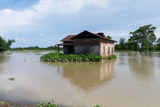 flood-condition-at-nalbari