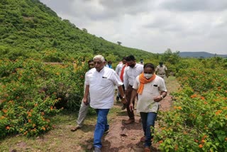 ajay vishnoi, bjp mla