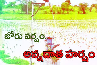 adilabad farmers feels happy as there was heavy rain from two days