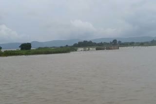 Crop wasted due to rise in Ganga water