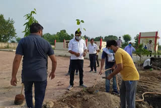 Bijawar MLA did tree plantation in Muktidham