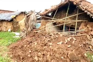 family living in gaushala urged government for help