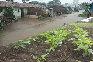 Rain in Hubli