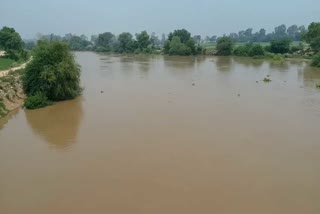 Ghaggar river flood threatens dozen villages of Sirsa