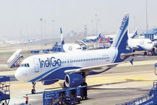 indigo airlines