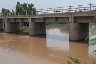 Water level of Ghaggar river reduced by about 6 inches