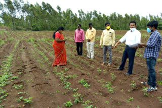 crop-cultivation-details-registration-program-in-sangareddy-district