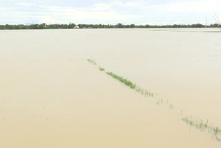 heavy rains in east godavari district