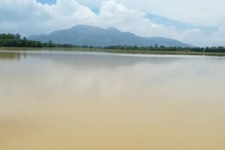 farm field gets filled with water in palakonda mandal due to heavy rains